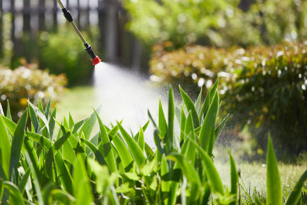 Tamper-Resistant Bait Stations for Rodents in Bloomington
