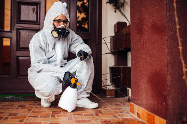 Attic and Crawl Space Rodent Treatment in Bloomington
