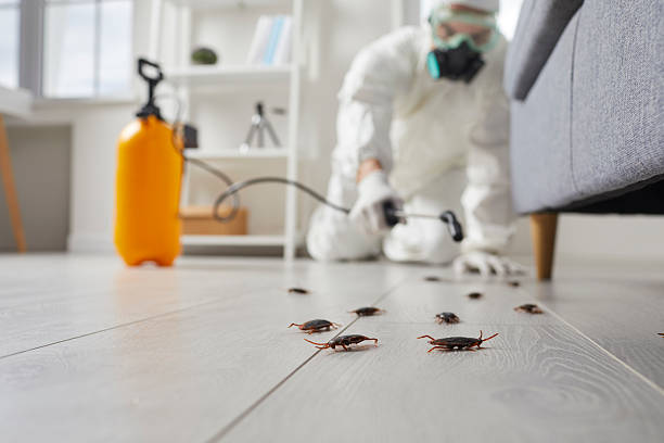 Commercial Rodent Management in Bloomington